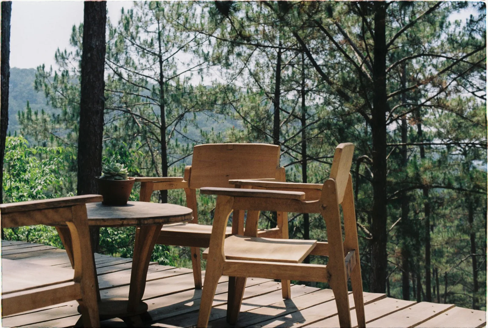 Deck & Timber Maintenance